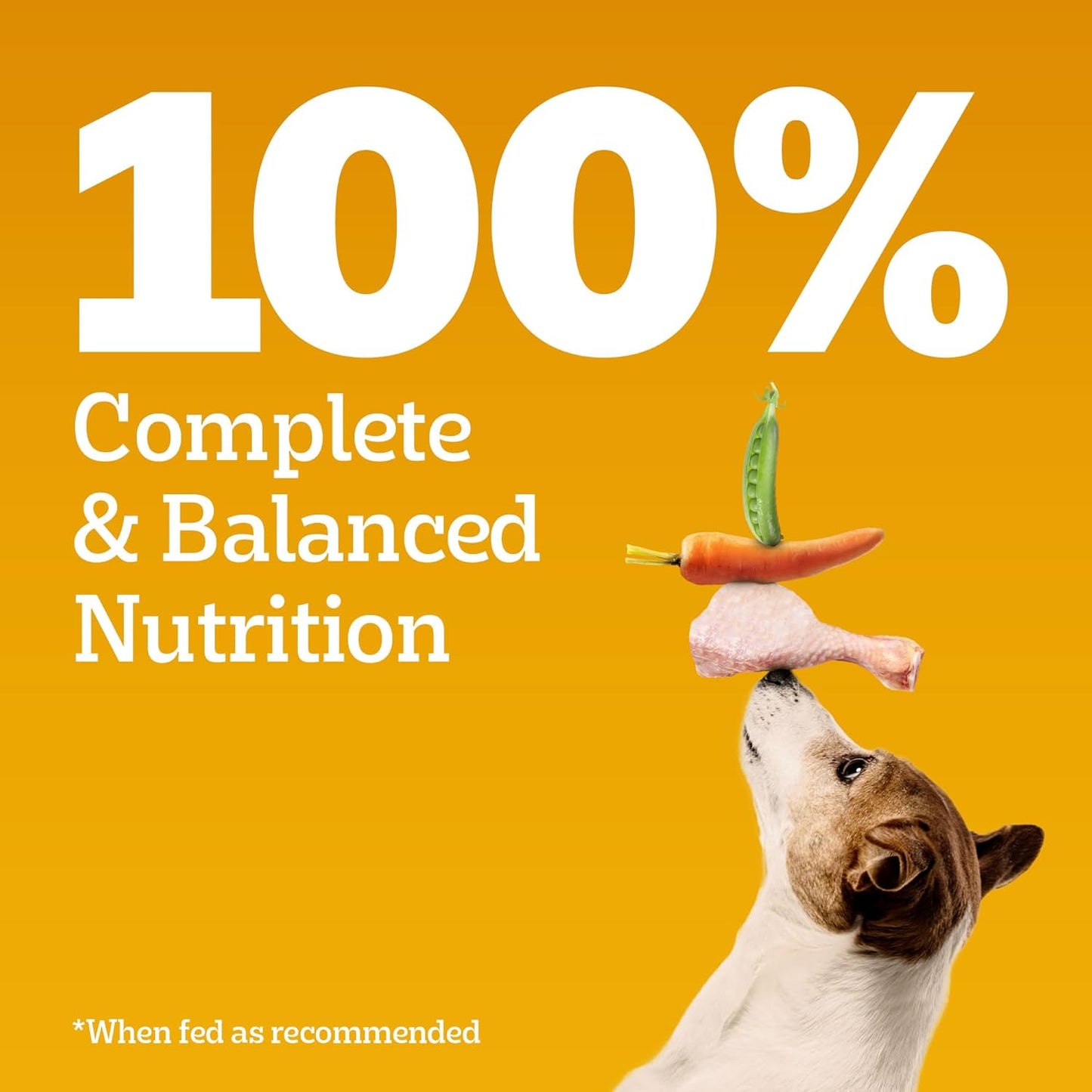 Pedigree 5.5Kg Puppy