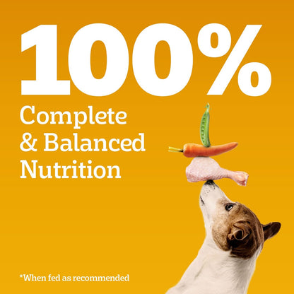 Pedigree 2.8Kg Puppy